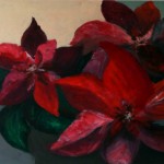 Weihnachtsstern 70x50